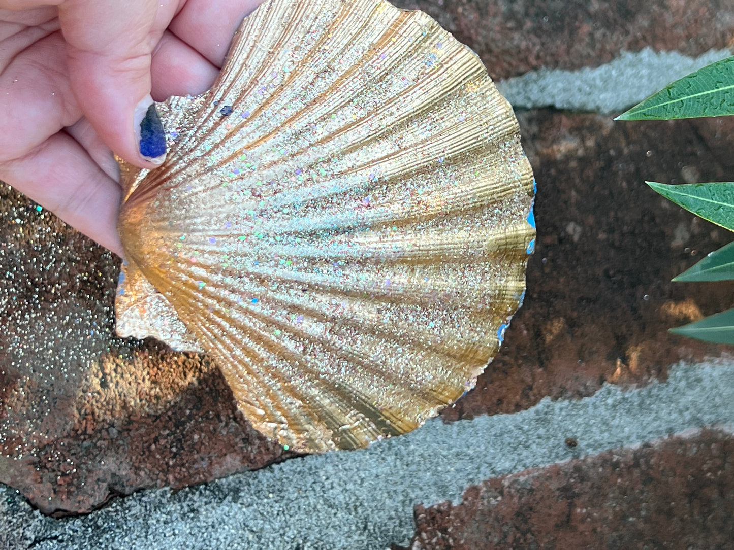 Seashell π Ring Holder