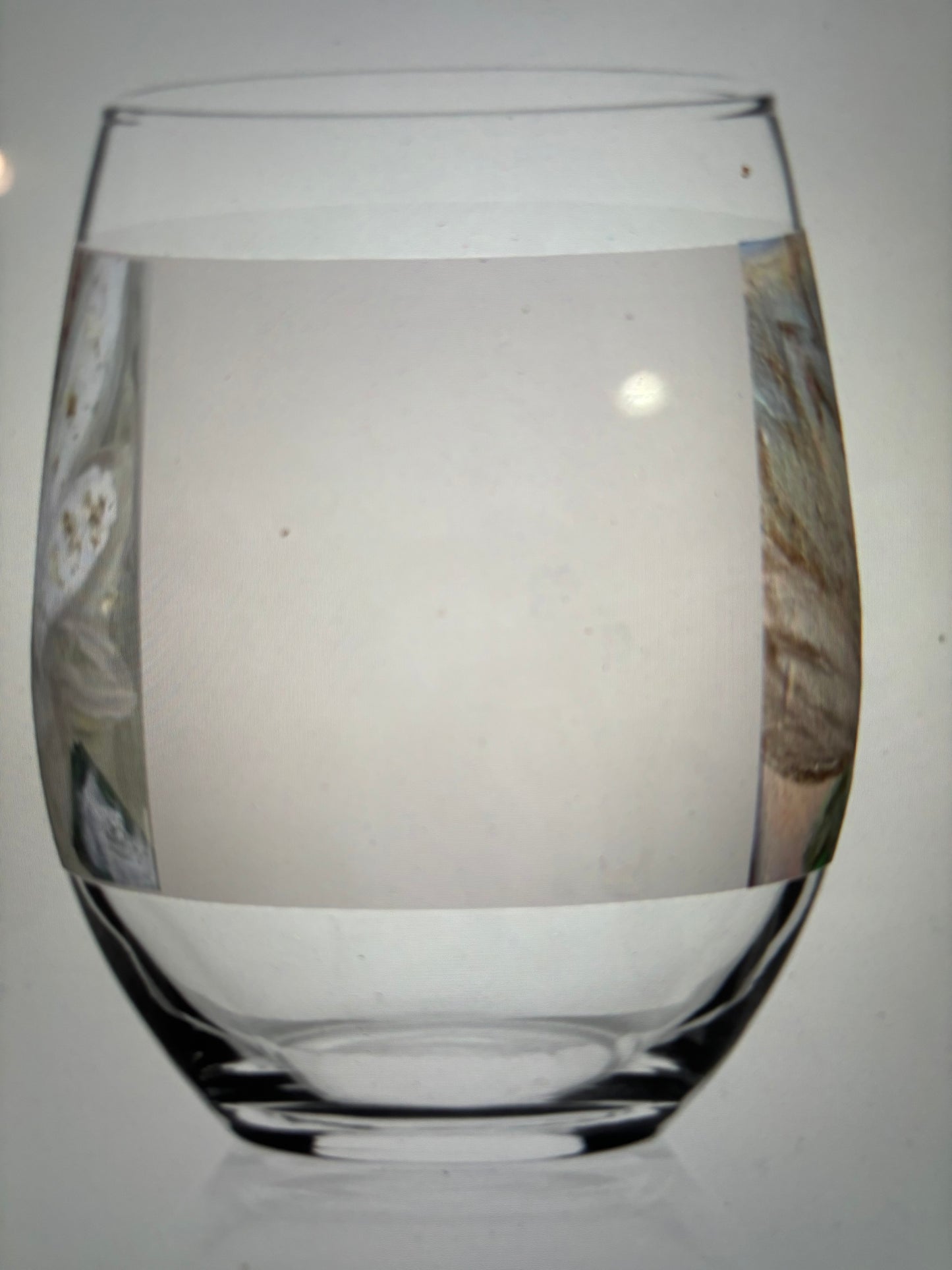 Stemless wine with 2 magnolia designs!