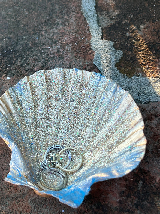 Seashell 🐚 Ring  Holder